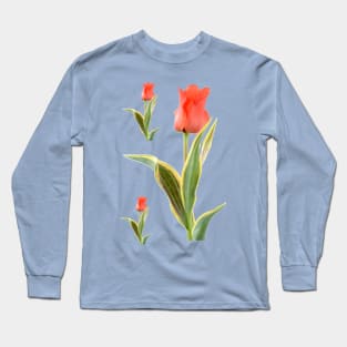 Tulipa  'Fire of Love'   Greigii Group  Tulip Long Sleeve T-Shirt